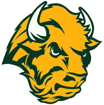 North Dakota State Bison 2005-2011 Alternate Logo t shirts iron on transfers